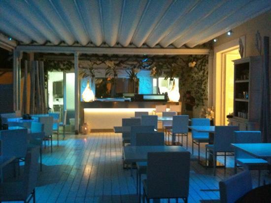 Coquille Ischia foto