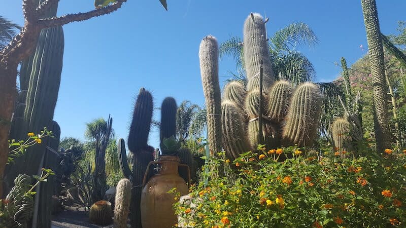 Giardini Ravino Ischia foto