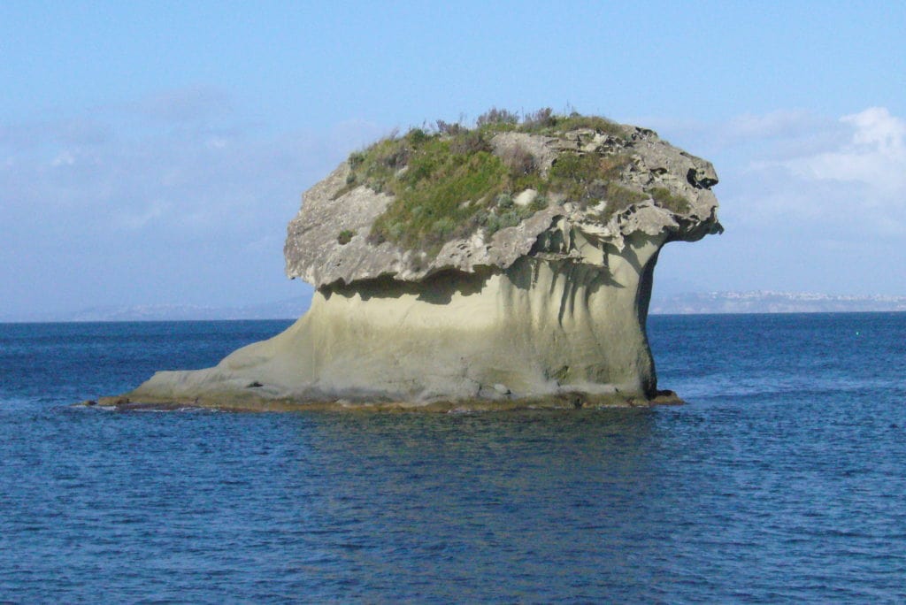 Il Fungo Ischia