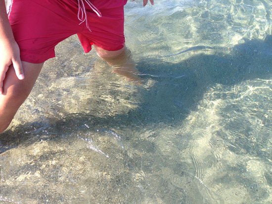 Lido Fratelli Mattera foto