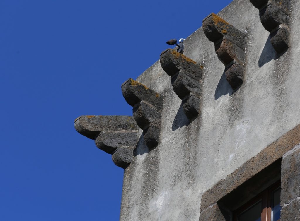 Torre di Guevara foto